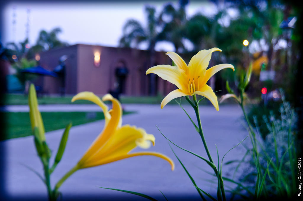 Colon Hotel De Campo Resort & Spa Santa Fe Eksteriør bilde